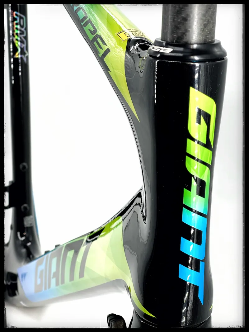 Giant Propel Adv Pro 0 M-Large Carbon Frame Set 2019-2